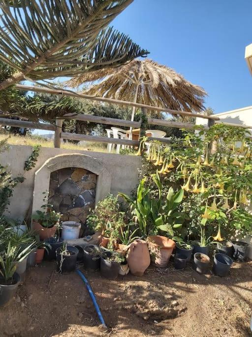 شقة Rena'S House Pachia Ammos المظهر الخارجي الصورة