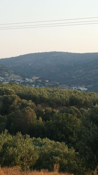 شقة Rena'S House Pachia Ammos المظهر الخارجي الصورة