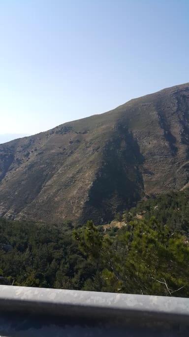 شقة Rena'S House Pachia Ammos المظهر الخارجي الصورة